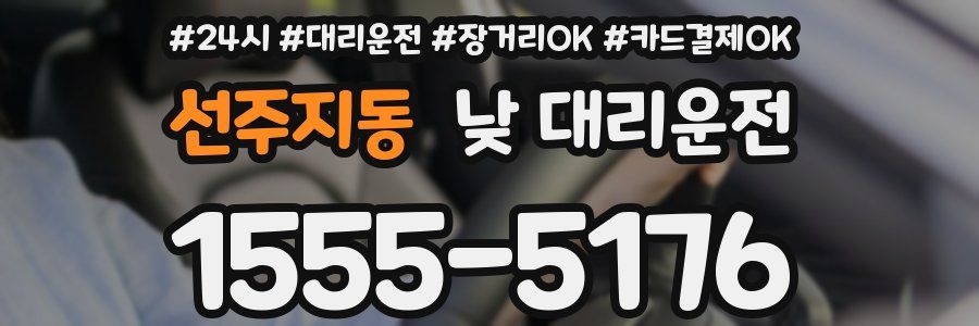 선주지동 낮 대리운전