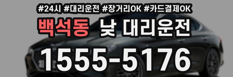 백석동 낮 대리운전