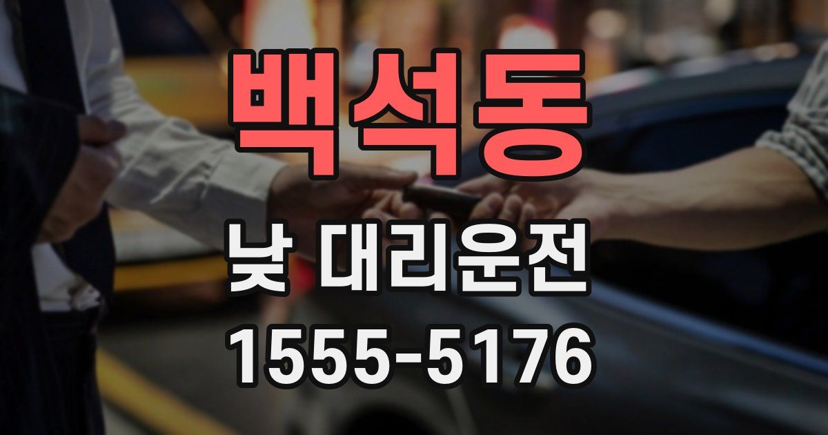 백석동 낮 대리운전
