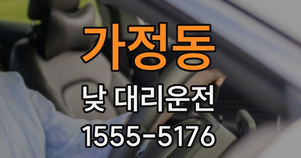 가정동 낮 대리운전