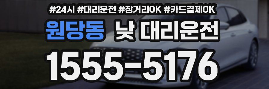 원당동 낮 대리운전
