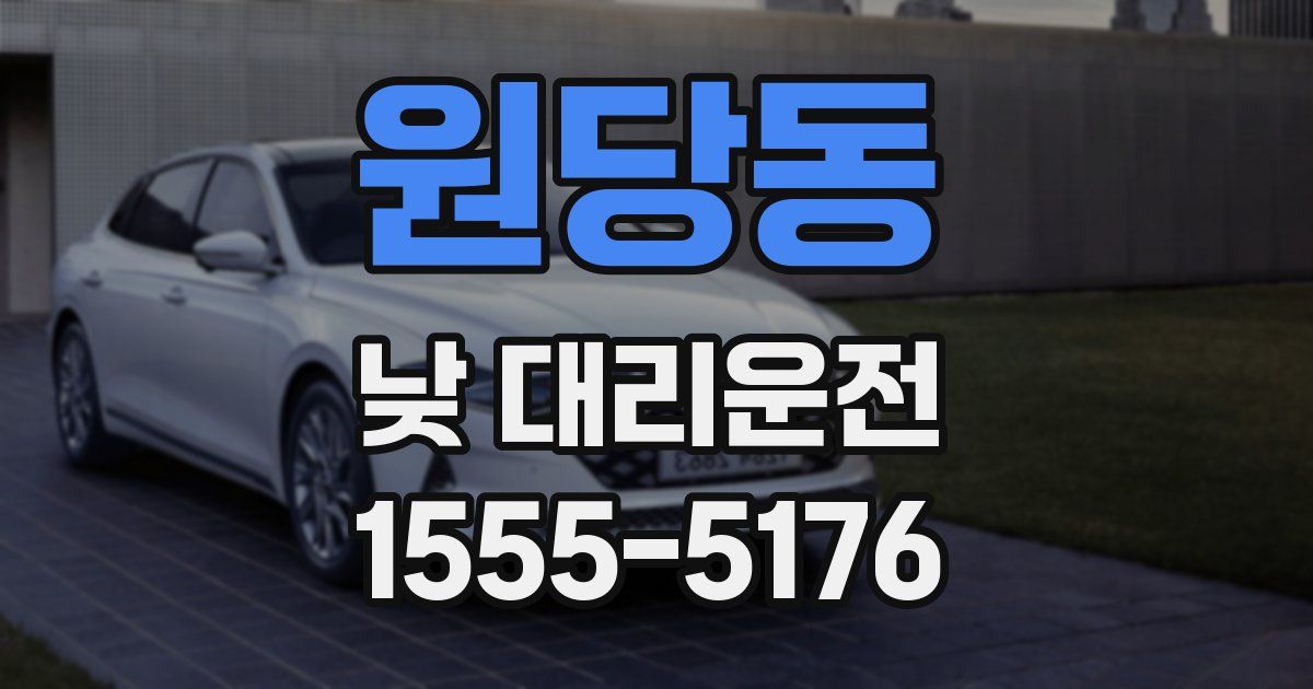 원당동 낮 대리운전