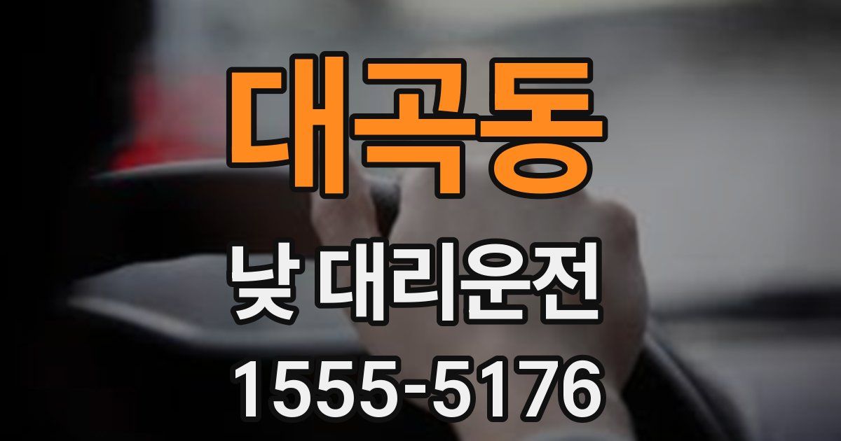 대곡동 낮 대리운전