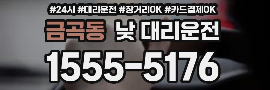 금곡동 낮 대리운전