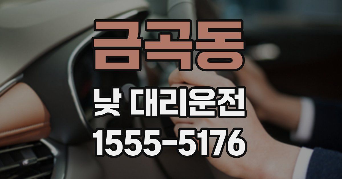 금곡동 낮 대리운전