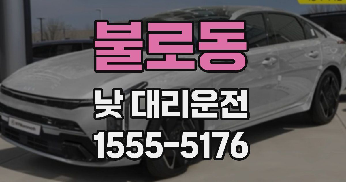 불로동 낮 대리운전