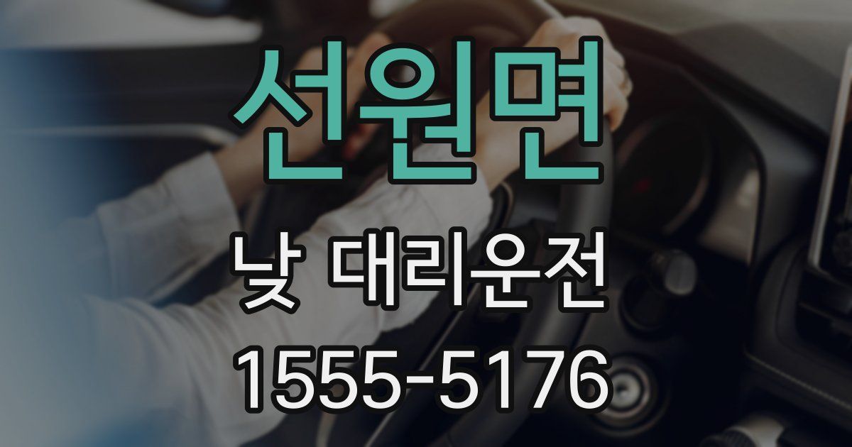 선원면 낮 대리운전