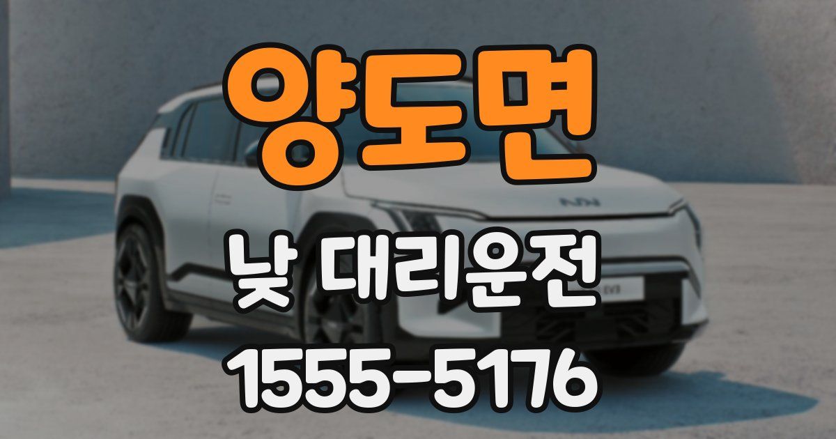 양도면 낮 대리운전