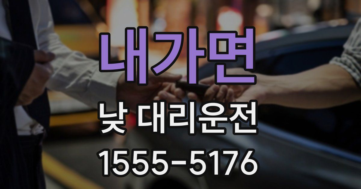 내가면 낮 대리운전
