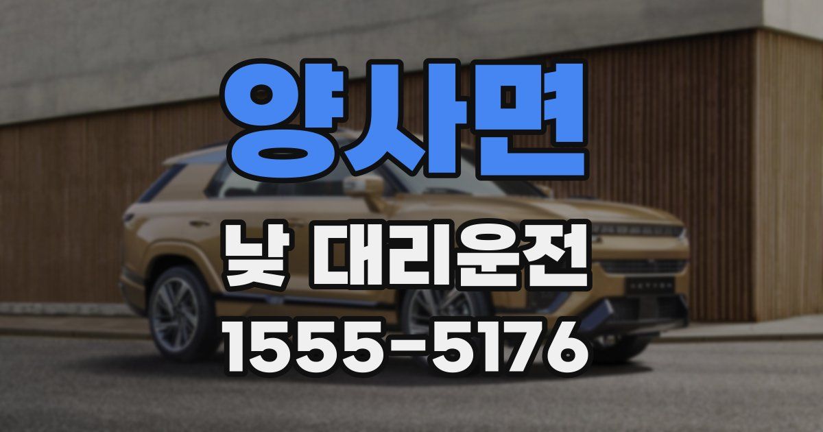 양사면 낮 대리운전