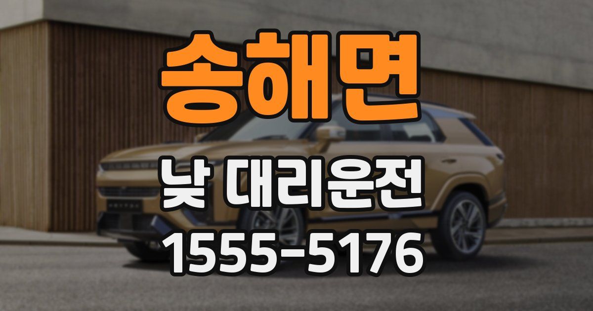 송해면 낮 대리운전