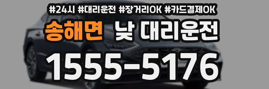 송해면 낮 대리운전