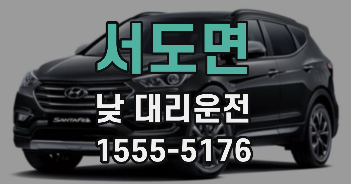 서도면 낮 대리운전