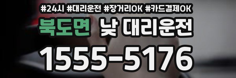 북도면 낮 대리운전