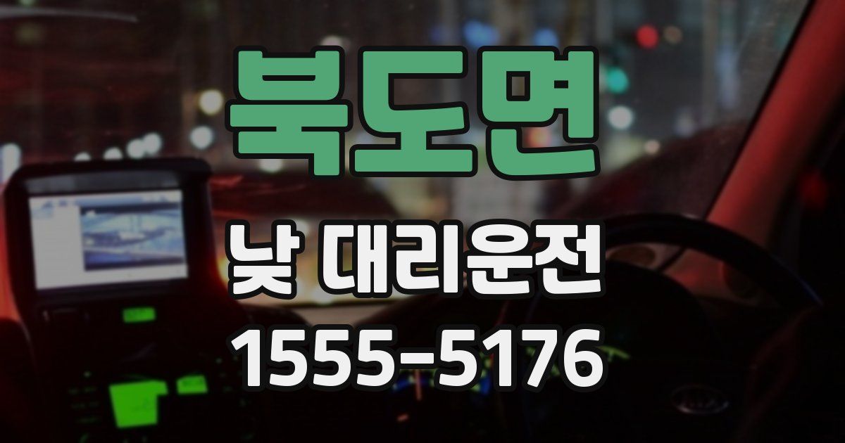 북도면 낮 대리운전