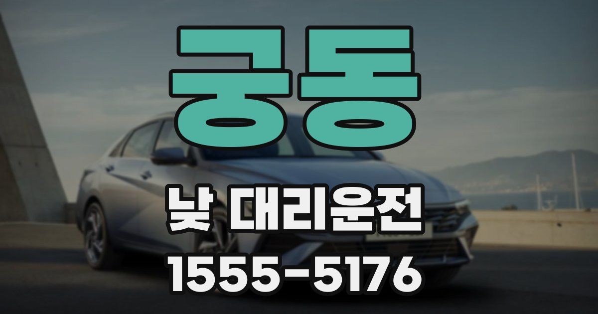 궁동 낮 대리운전