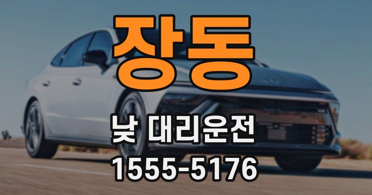 장동 낮 대리운전