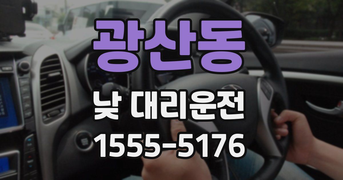 광산동 낮 대리운전