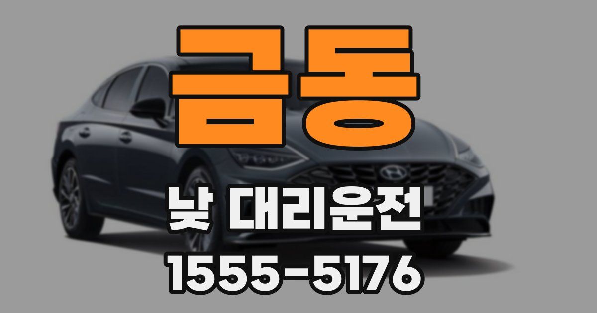금동 낮 대리운전