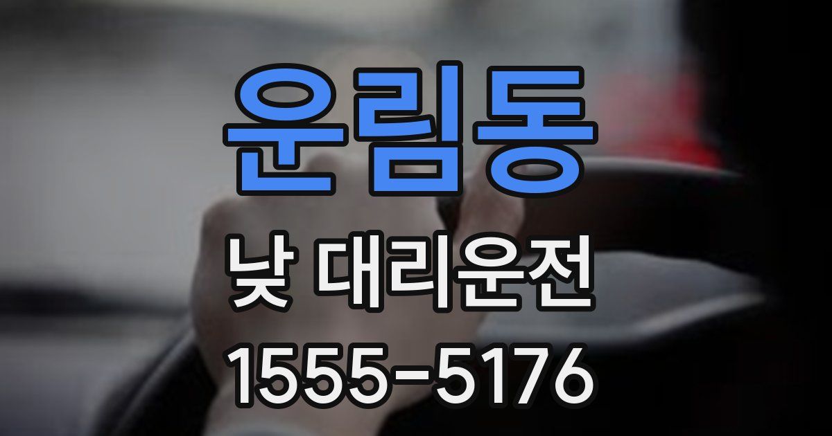 운림동 낮 대리운전
