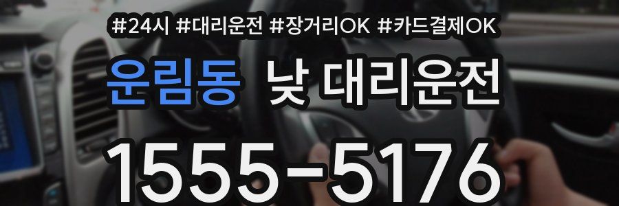 운림동 낮 대리운전