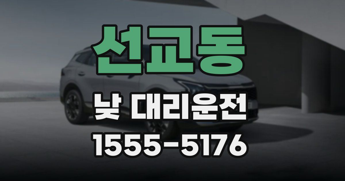 선교동 낮 대리운전