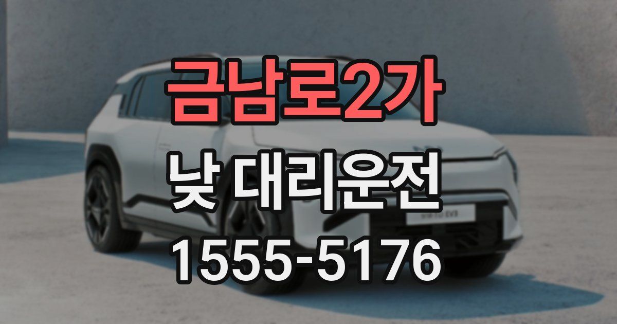 금남로2가 낮 대리운전