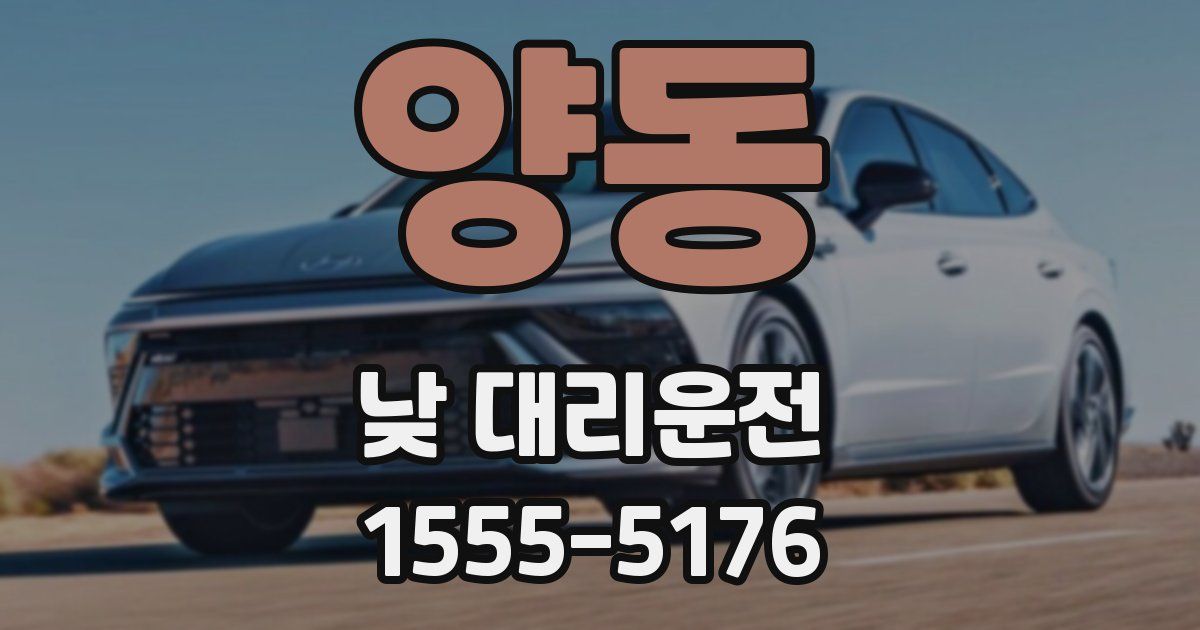 양동 낮 대리운전