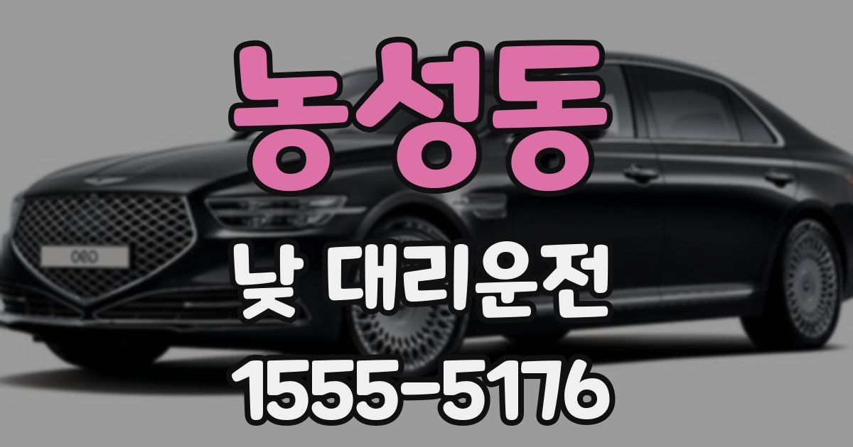 농성동 낮 대리운전