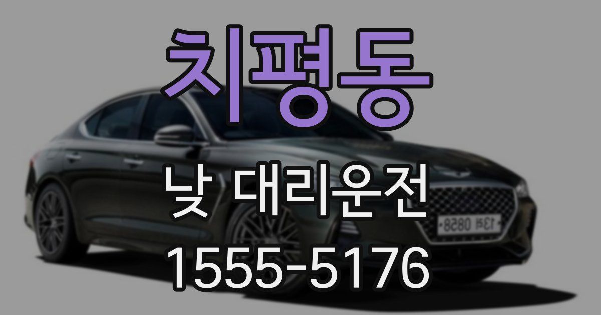 치평동 낮 대리운전