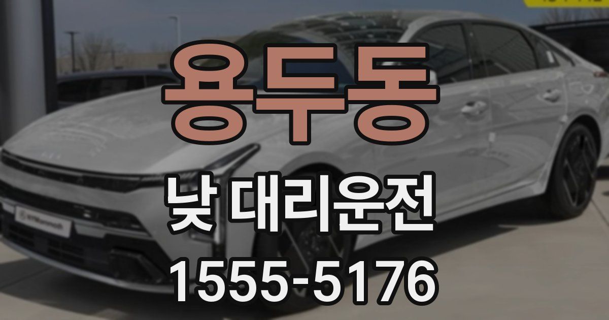 용두동 낮 대리운전