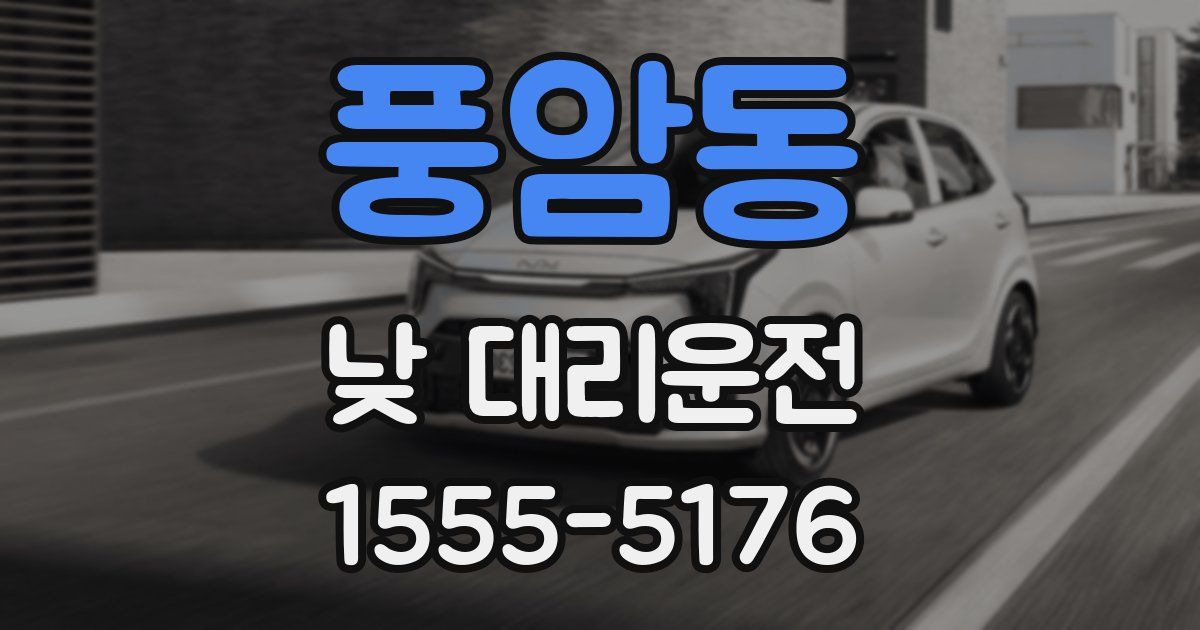 풍암동 낮 대리운전
