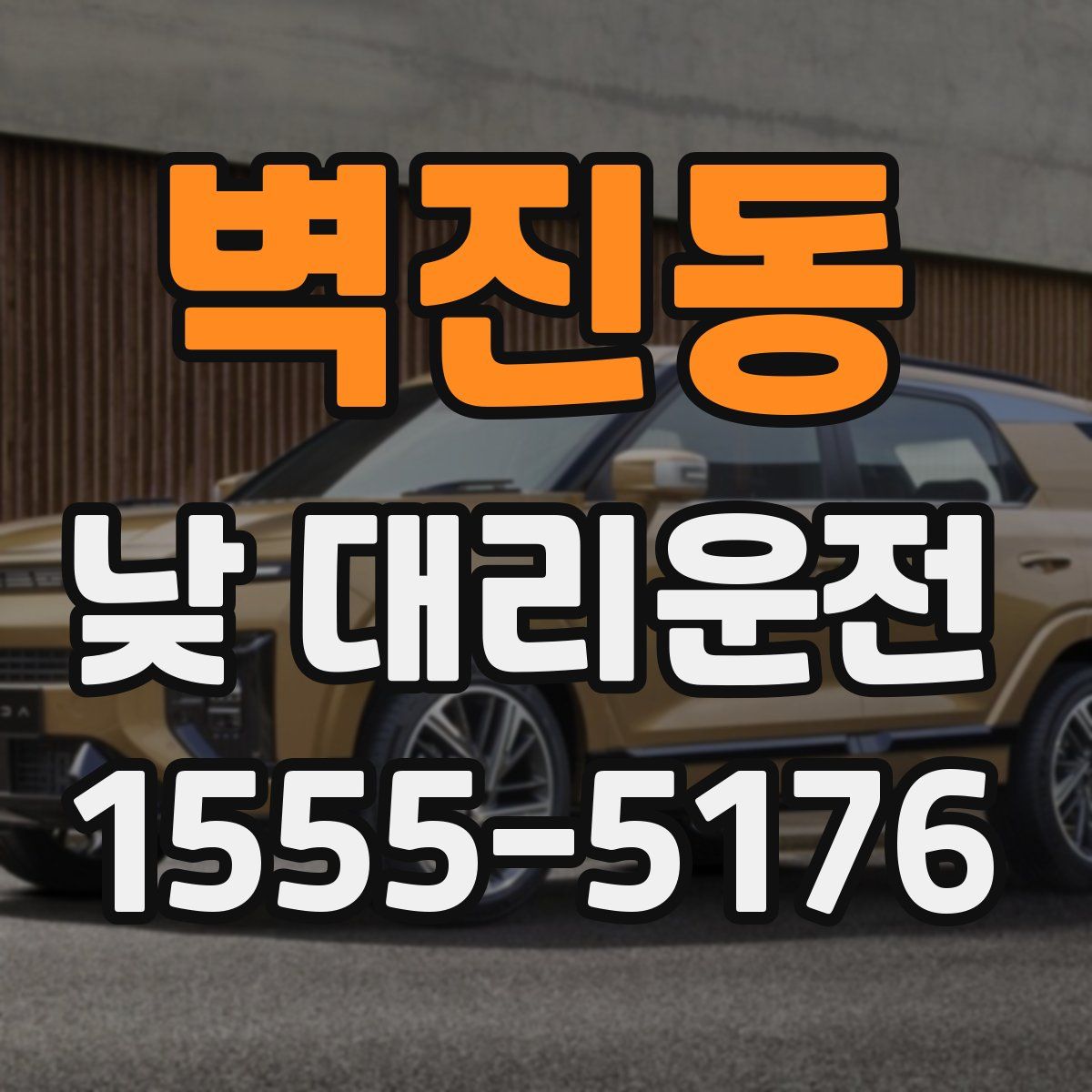벽진동 낮 대리운전