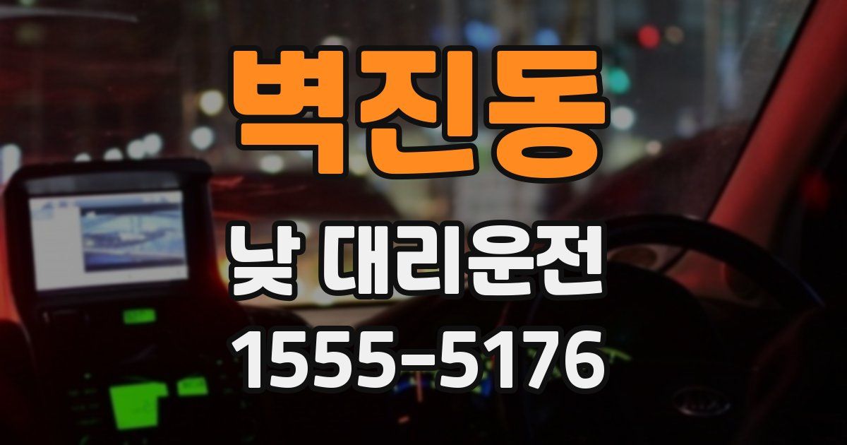 벽진동 낮 대리운전