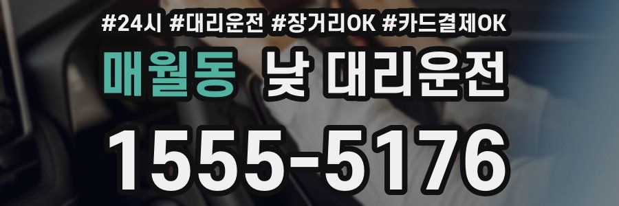 매월동 낮 대리운전