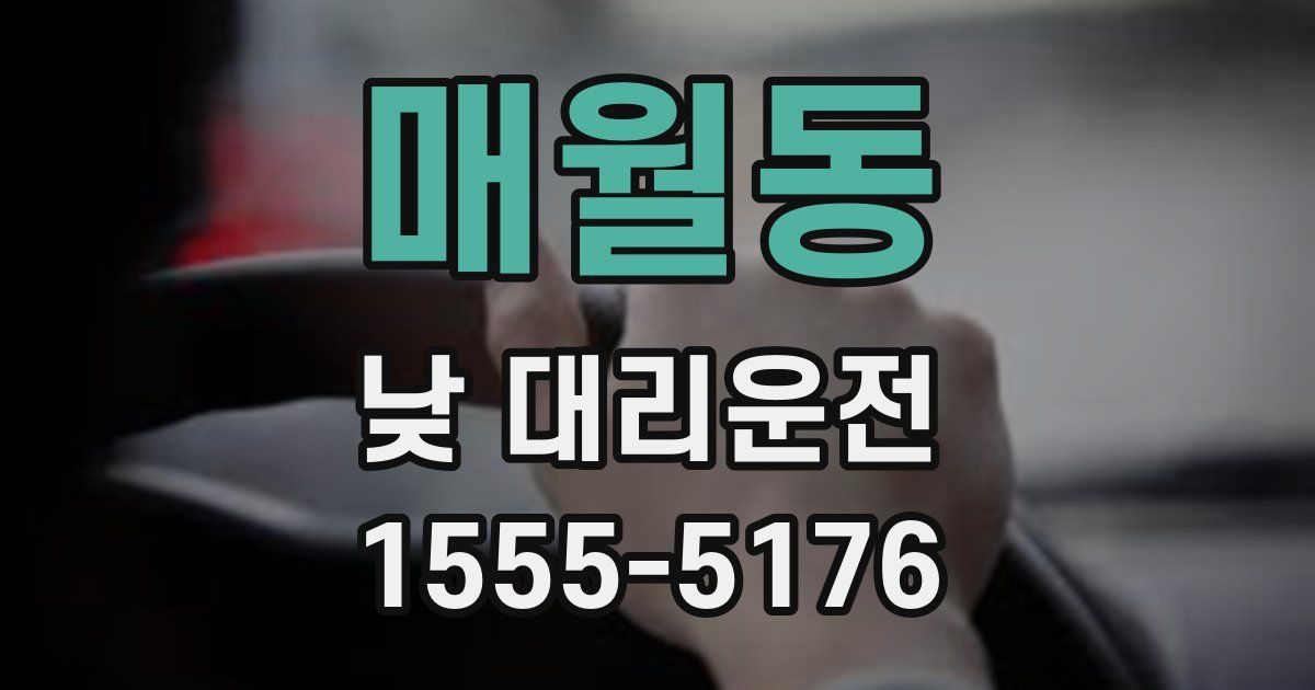 매월동 낮 대리운전