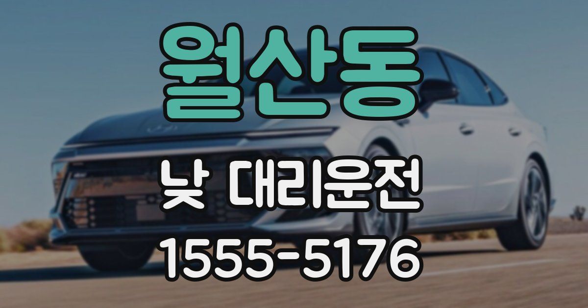 월산동 낮 대리운전
