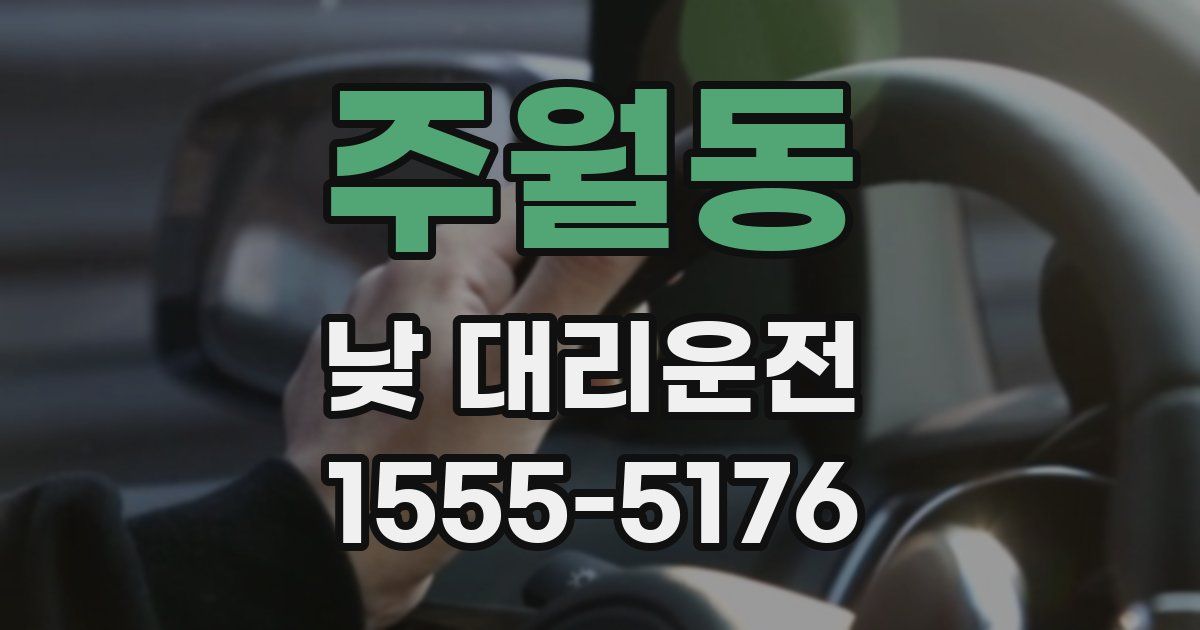 주월동 낮 대리운전