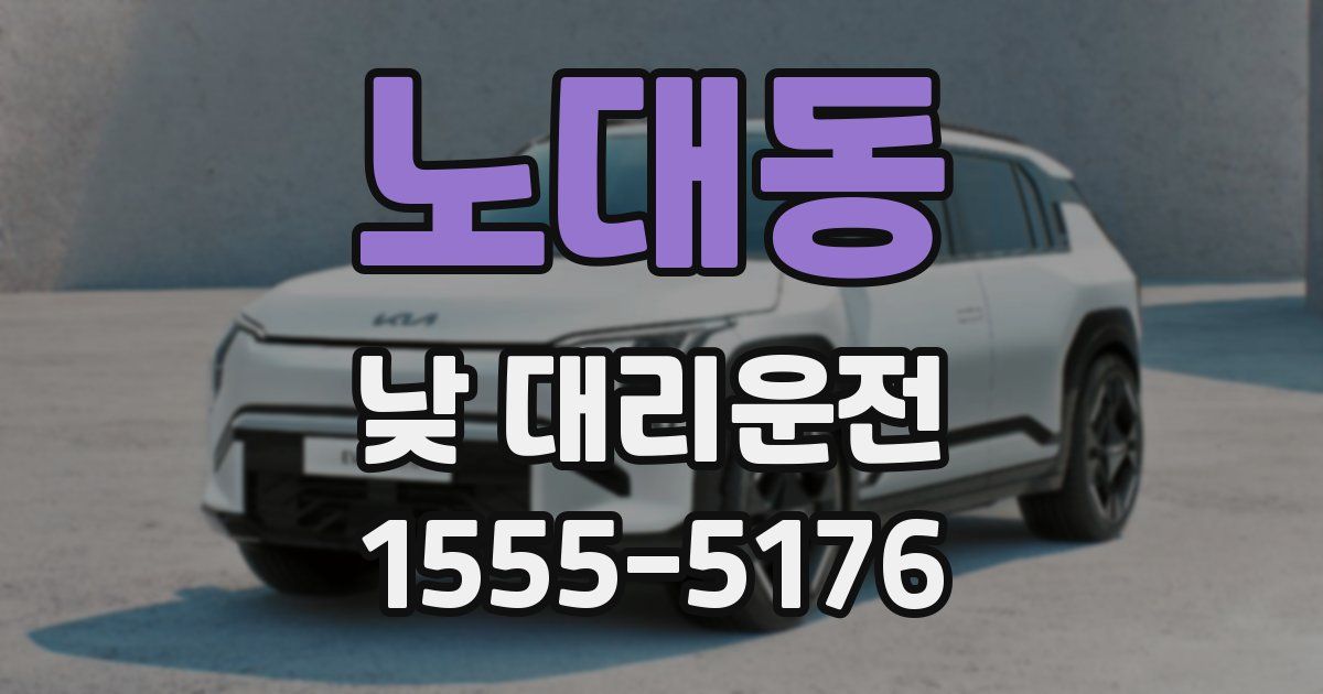 노대동 낮 대리운전
