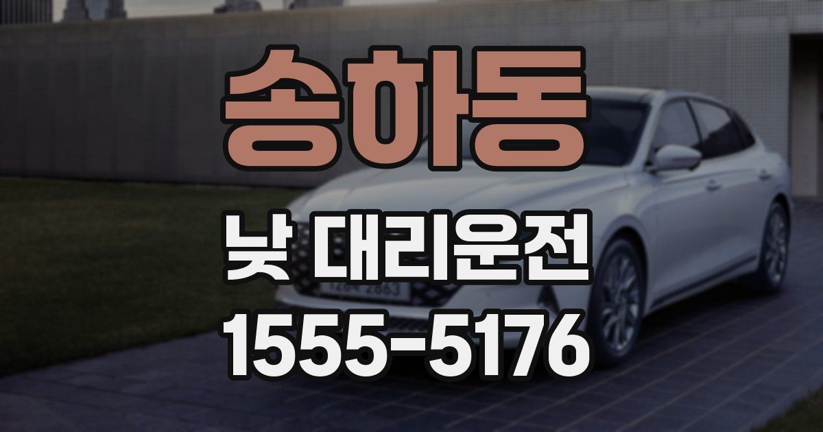 송하동 낮 대리운전