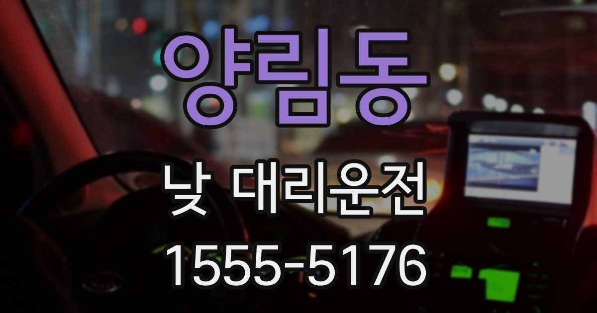양림동 낮 대리운전