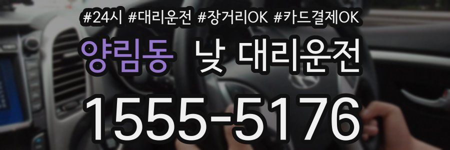 양림동 낮 대리운전