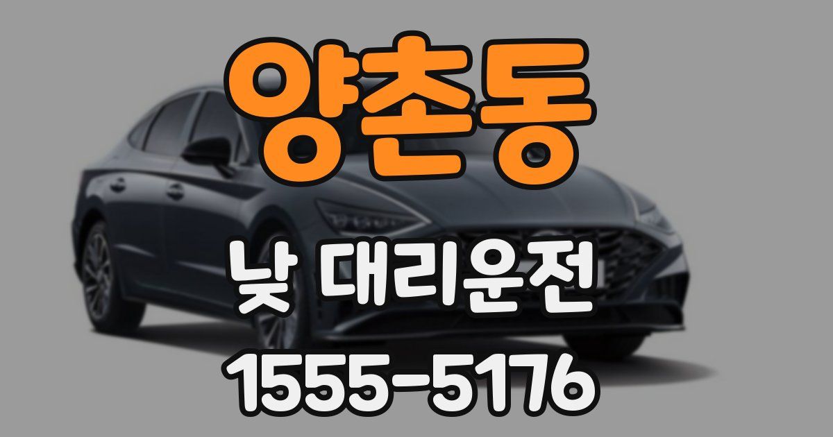 양촌동 낮 대리운전