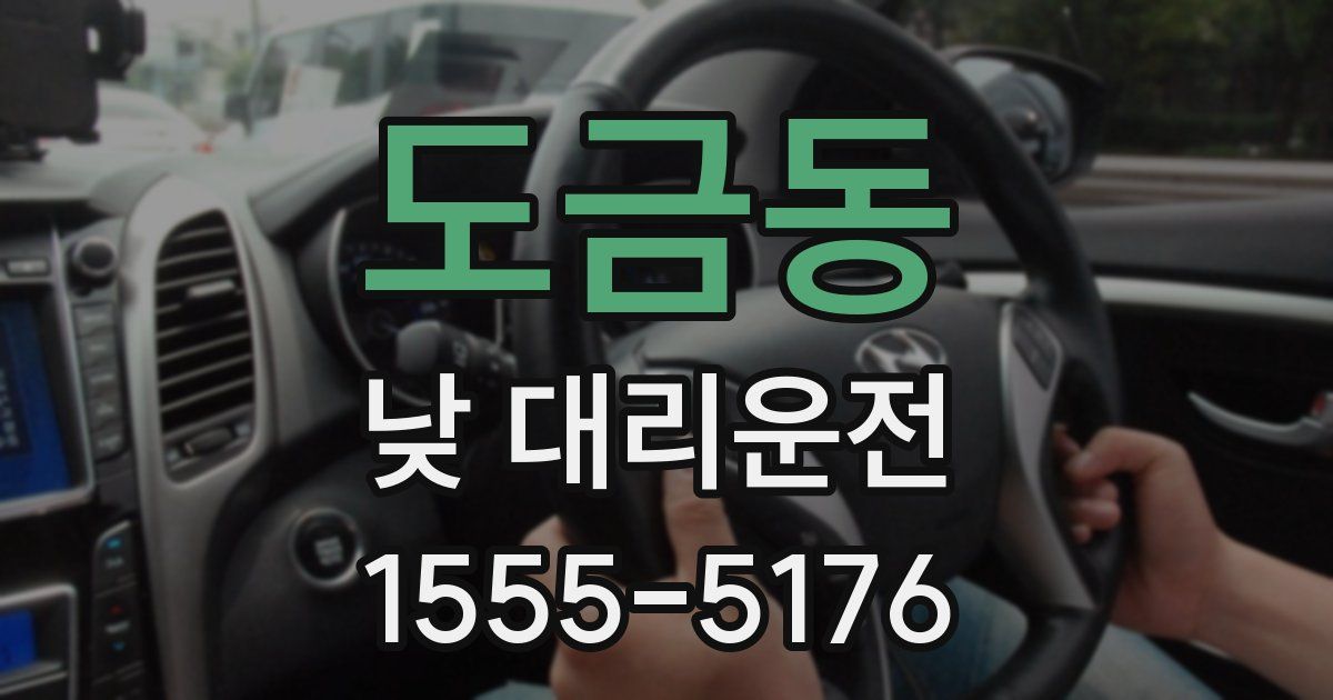 도금동 낮 대리운전