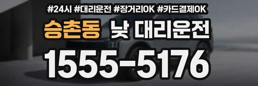 승촌동 낮 대리운전