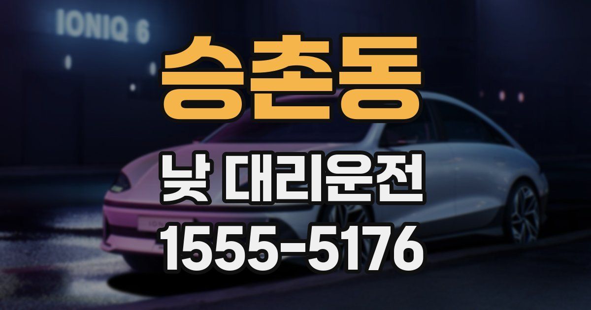 승촌동 낮 대리운전