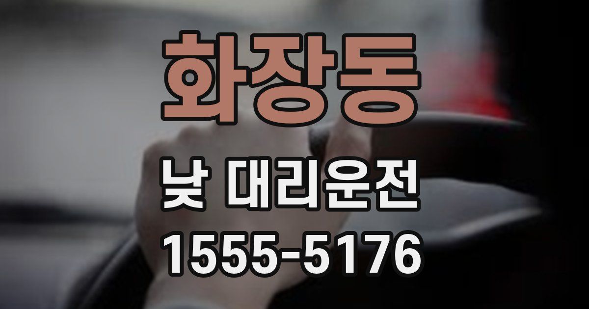 화장동 낮 대리운전