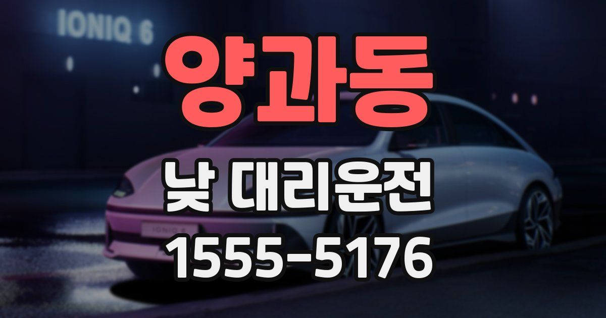 양과동 낮 대리운전