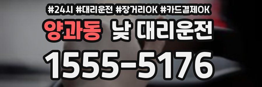 양과동 낮 대리운전
