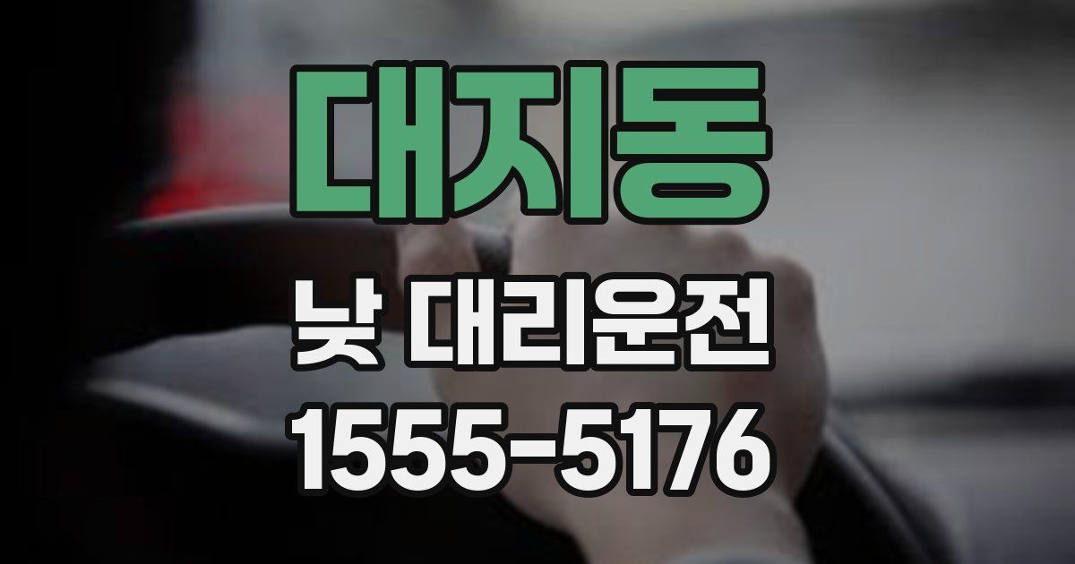 대지동 낮 대리운전